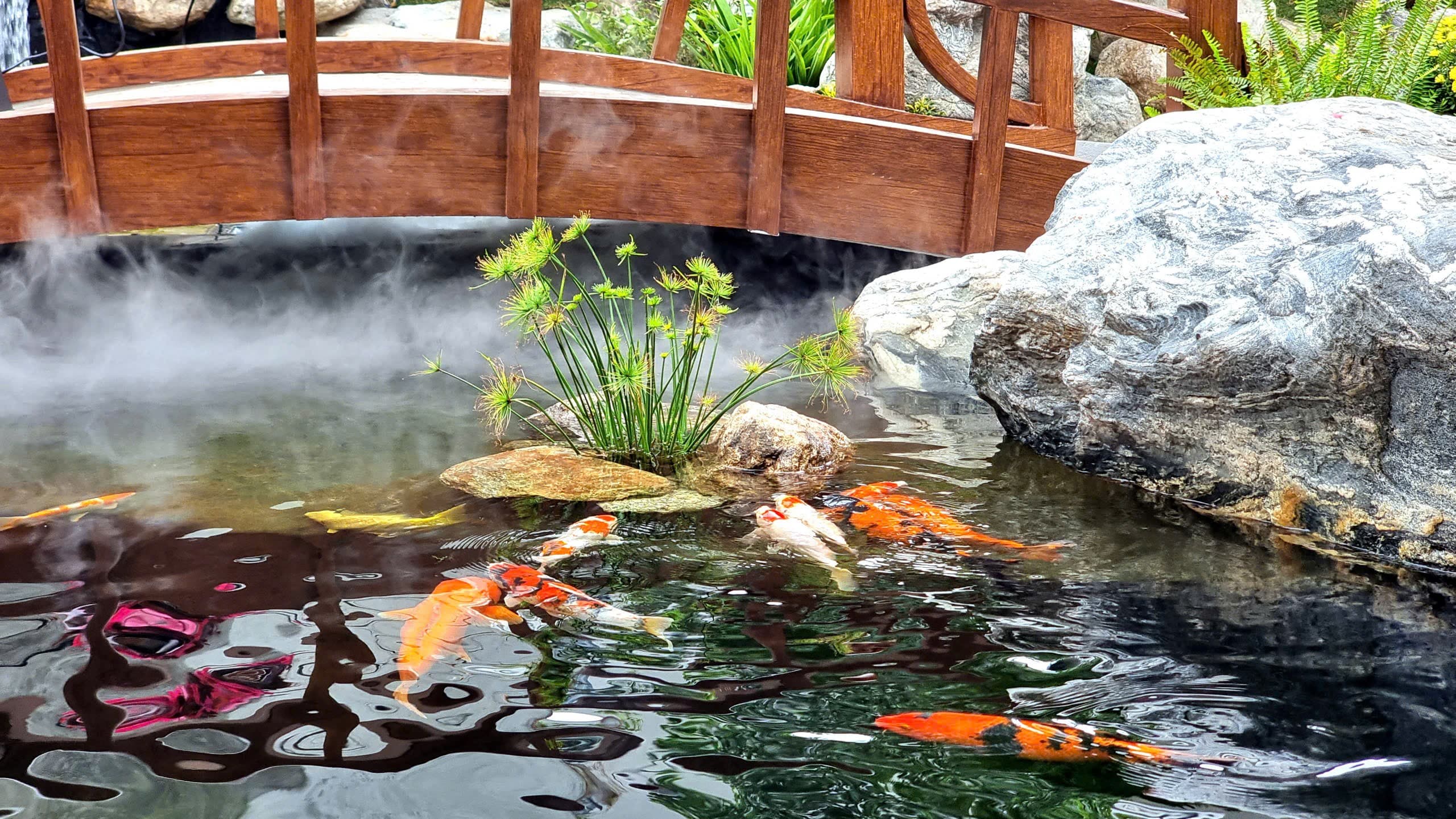 Nhà vườn Đan Phượng