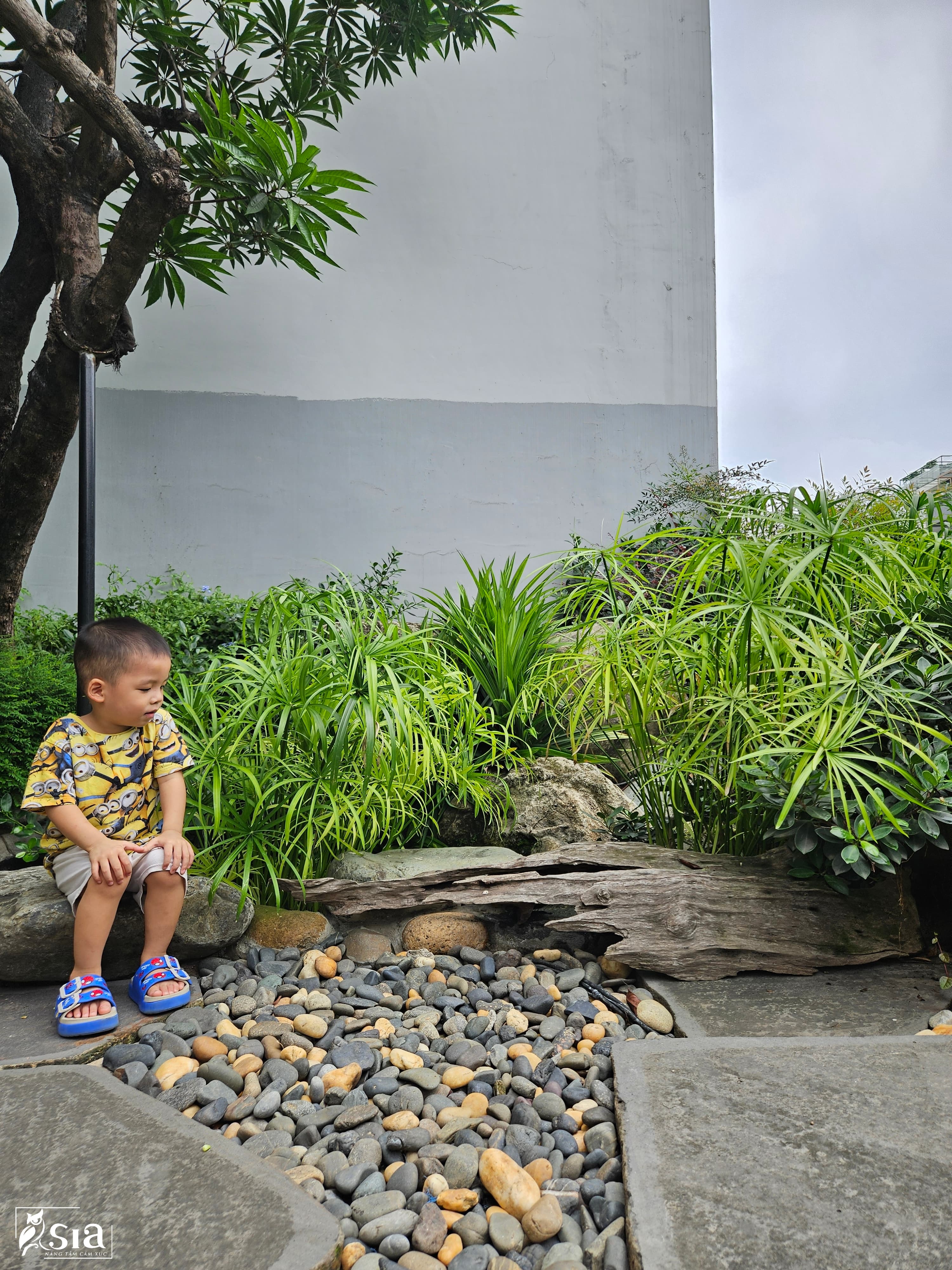 Ciputra Q59 - hình ảnh công trình